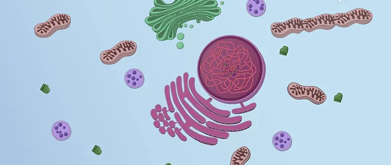 Cell Biology