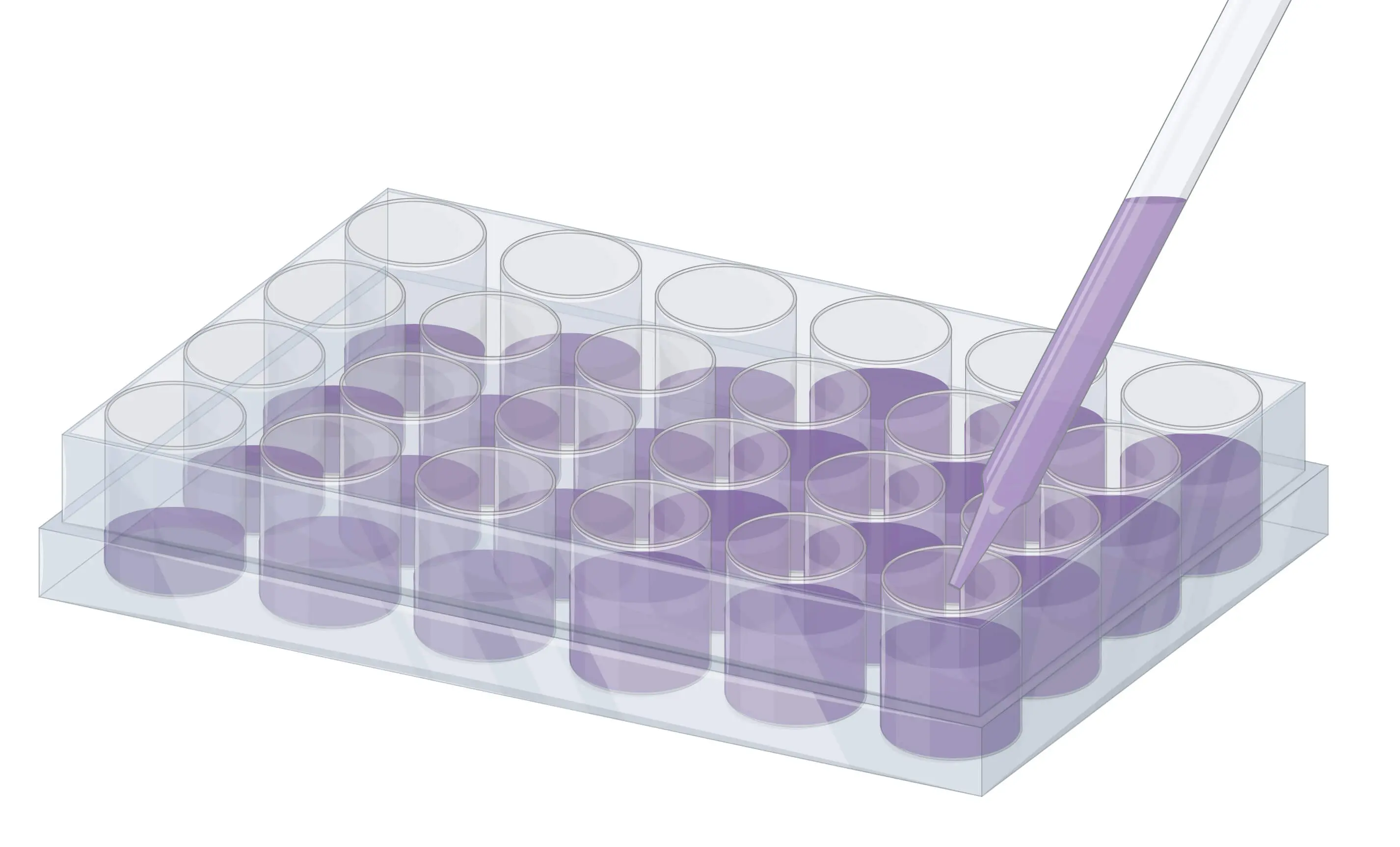 Assay Techniques
