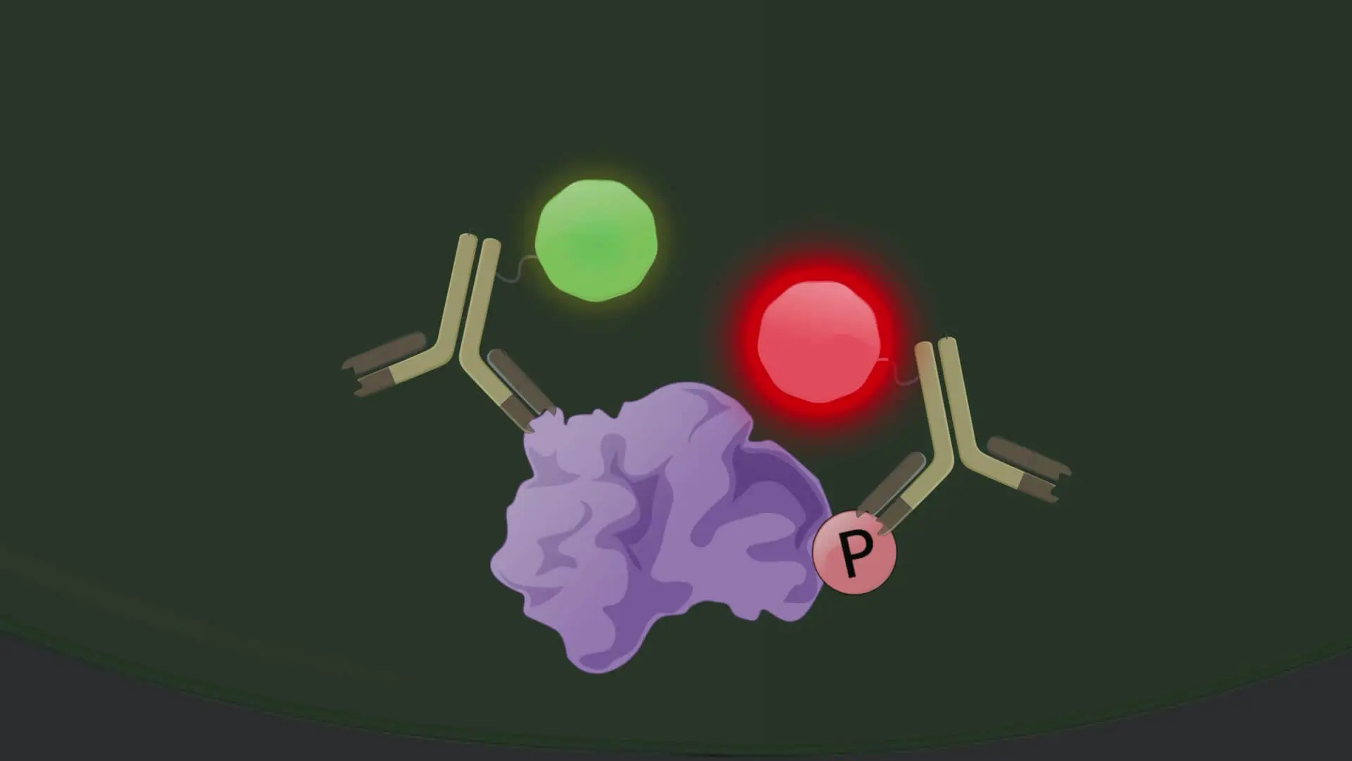 Biomolecular Interaction Detection Techniques