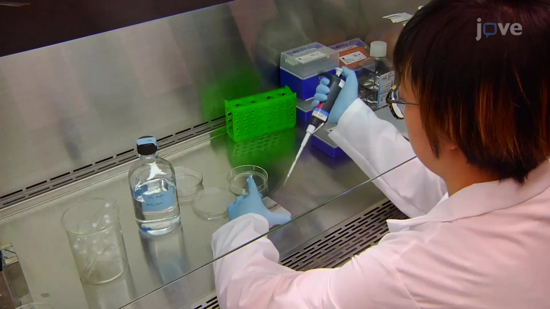 Cancer Research
