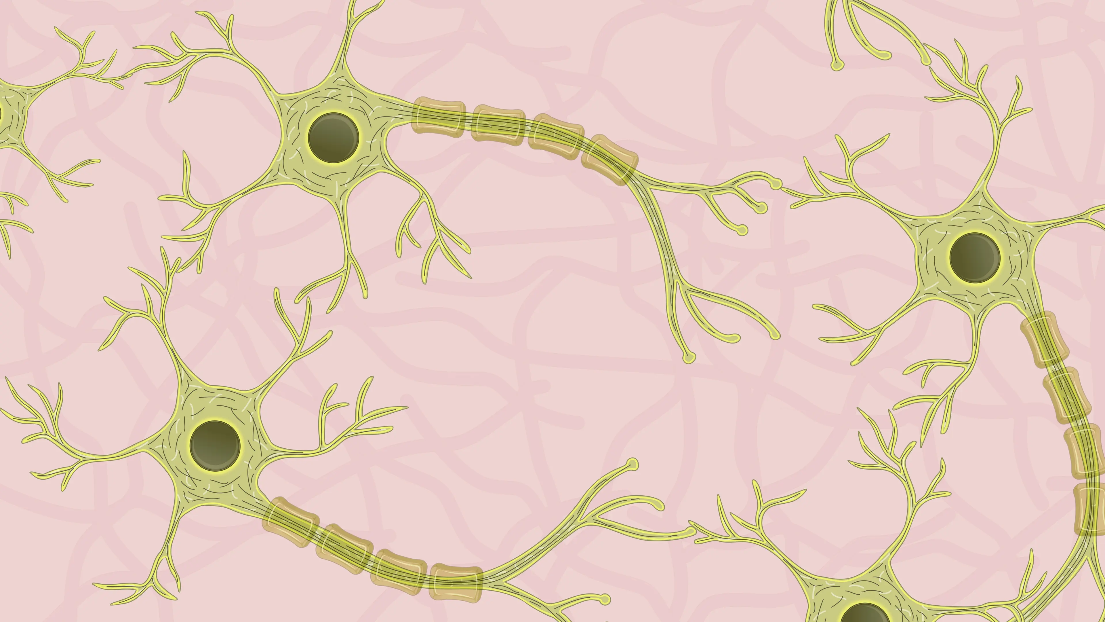 Neuronal Culture Techniques