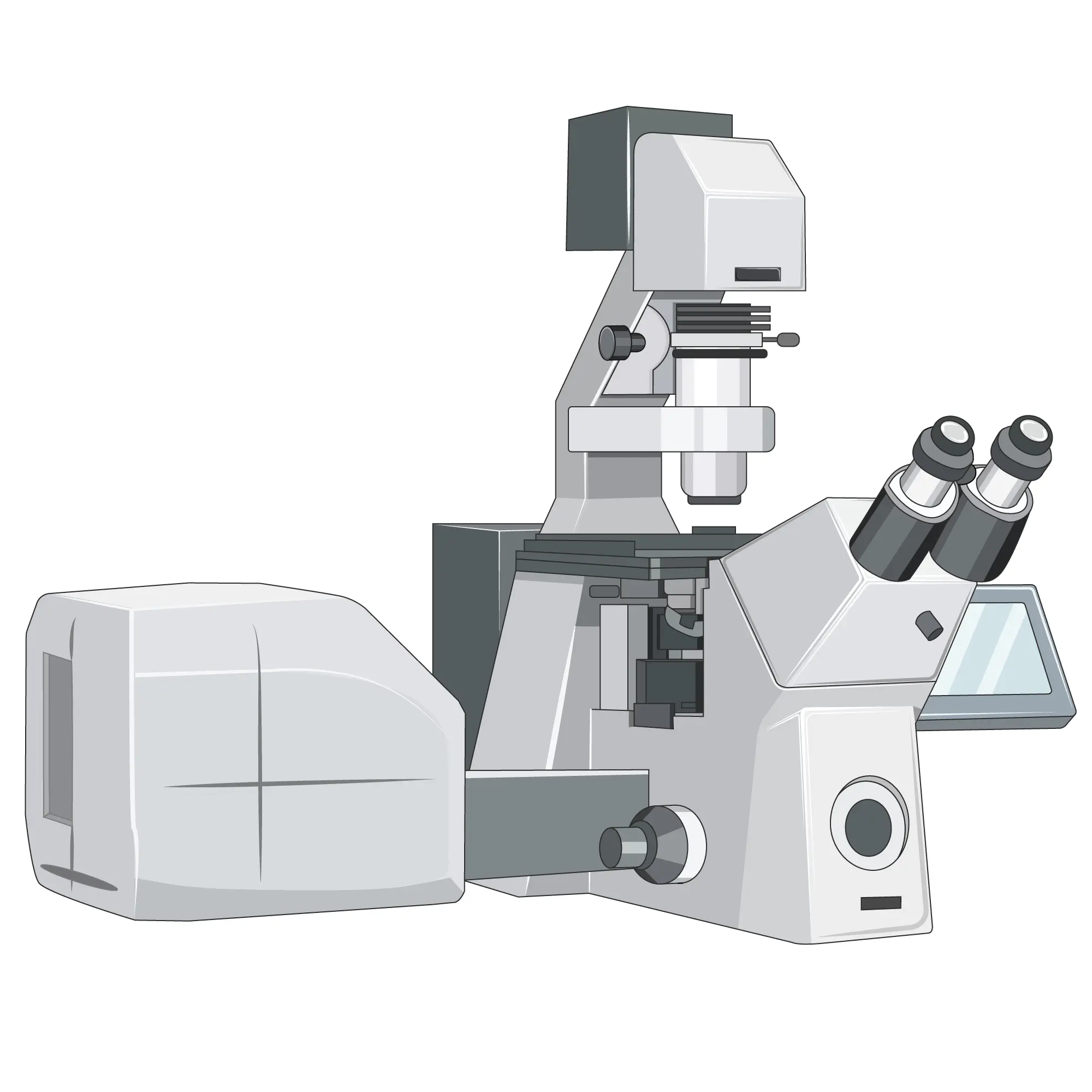 Microscopy Techniques