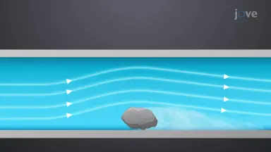 Drag Forces in Fluids and Surfaces
