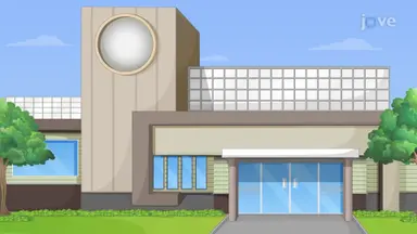 Wind Load Check for a Facade Disc