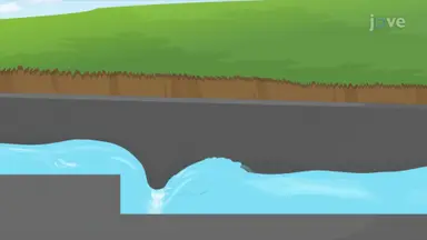 Hydraulic Jumps in Open Channels