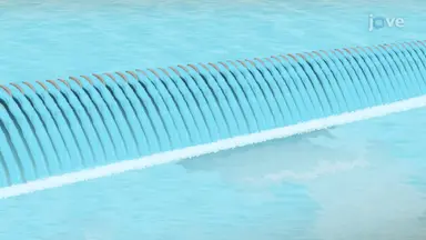 Weir Flow Measurement and Control