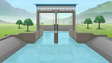 Irrigation Canal Gate Flow Control