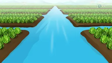 Designing Trapezoidal Irrigation Channels