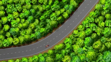 Using Continuity to Find Limits
