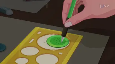 Spirograph Patterns in Polar Coordinates