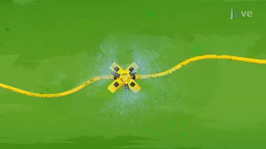 Polar Area of an Irregular Sprinkler Spray