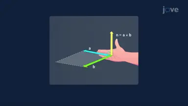 Cross Product, Area, and Torque