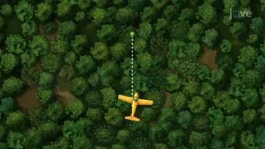 Crosswind Vector Navigation in 2D