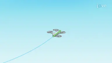 Vector Functions in Motion and Displacement