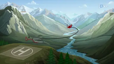 Distance Traveled Along a Space Path