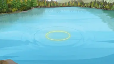 Modeling Waves with Space and Time