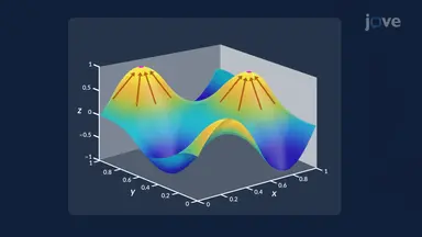 Gradient Vector and Direction of Steepest Rise