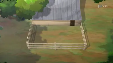 Optimizing a Fence Pen with Lagrange Multipliers