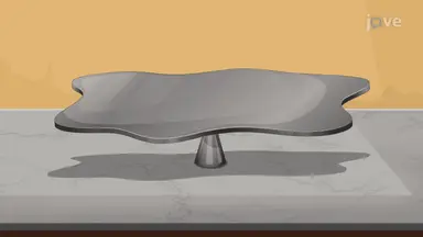 Balance Point of a Variable-Density Plate