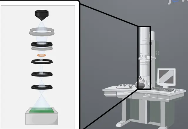 Collection-image