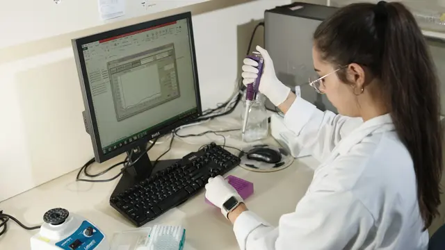 Combined Recombinase Polymerase Amplification CRISPR/Cas12a Assay for Detecting <em>Fusarium oxysporum</em> f. sp. <em>cubense</em> Tropical Race 4