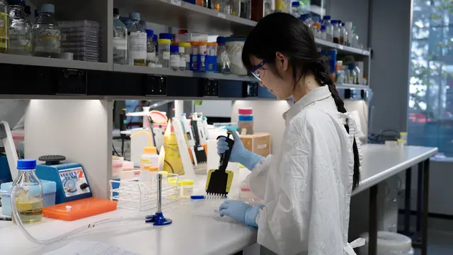 Production and Testing of Antimicrobial Peptides and Their Mimics