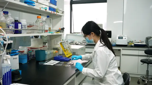 Efficient Isolation of Adipose-derived Stem Cells and Adipocytes from Porcine Adipose Tissue