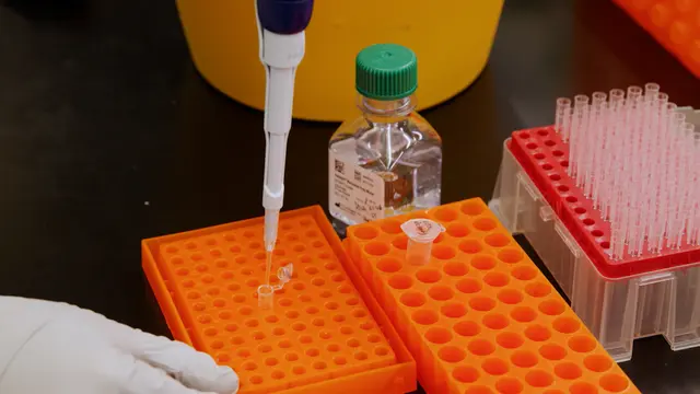 Visualization and Quantification of Intermolecular RNA Base Pairing in <em>in vitro</em> RNA Clusters Using Split Broccoli RNA Reporters