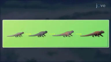 Theory of Evolution