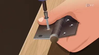 Screw