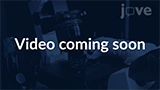 Video Coming Soon