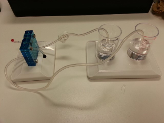 Electrolysis setup with beakers, electrodes, and tubing for hydrogen separation experiment.