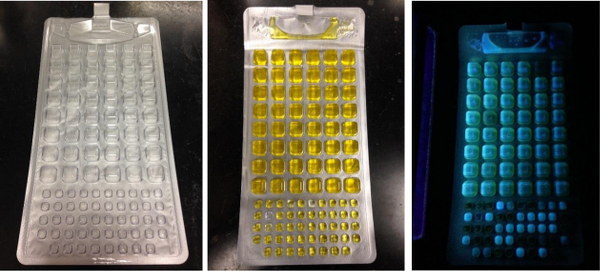 Chromatography microplate showing protein purification, fluorescence analysis, experiment results.