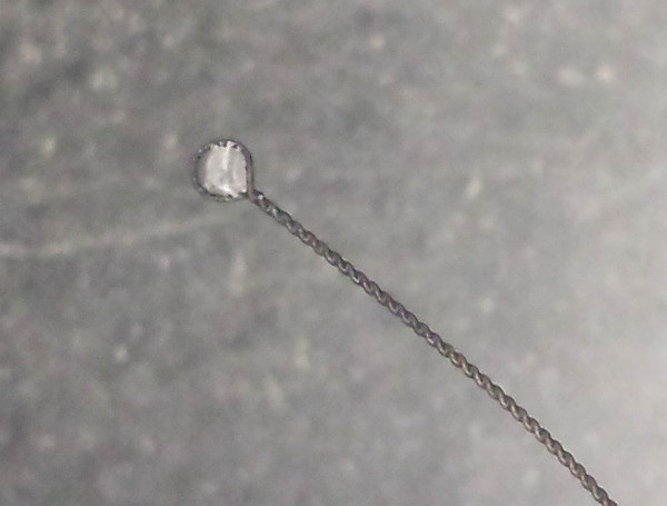 Microscope image: hair structure, focus on shaft and cuticle.