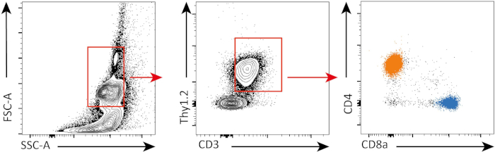 Flow cytometry gating diagram; FSC-A vs. SSC-A, Thy1.2 vs. CD3, CD4 vs. CD8a analysis.