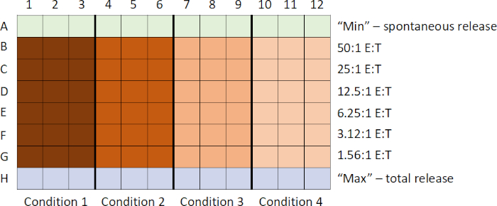 Heatmap chart of E:T ratio experimental conditions showing cell release levels across four setups.