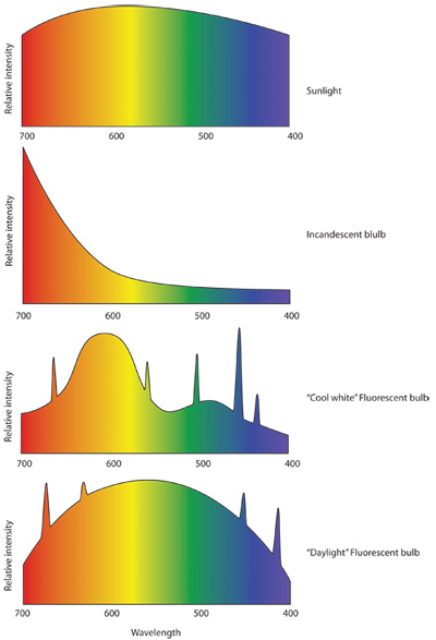 figure-protocol-1 Spectral analysis of light sources; graph shows intensity vs. wavelength for sunlight, bulbs.