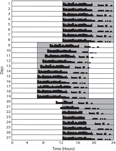 figure-protocol-3 Gantt chart depicting daily time allocation over 27 days; focus on activity distribution per hour.