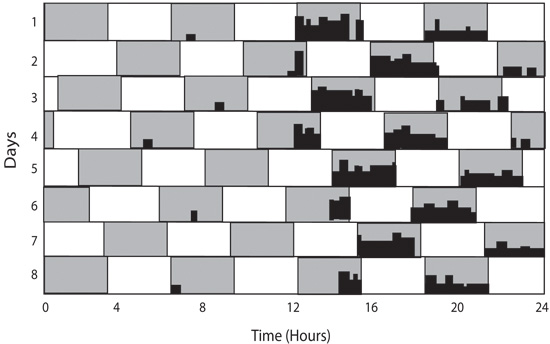 figure-protocol-6 Circadian rhythm activity chart, time vs. days, behavioral pattern, activity analysis.