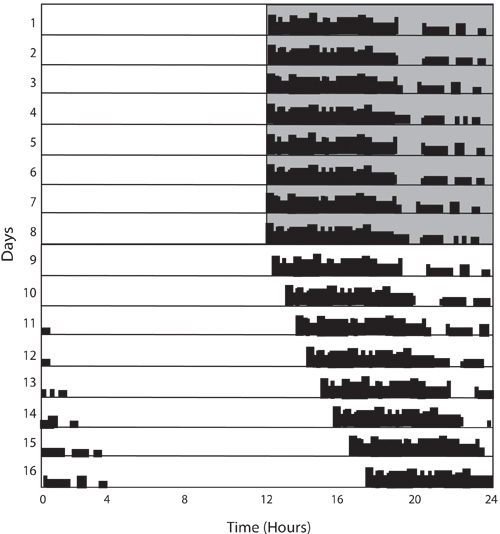 figure-protocol-7 Sleep-wake cycle histogram over 16 days showing activity rhythm by hour; circadian rhythm analysis.