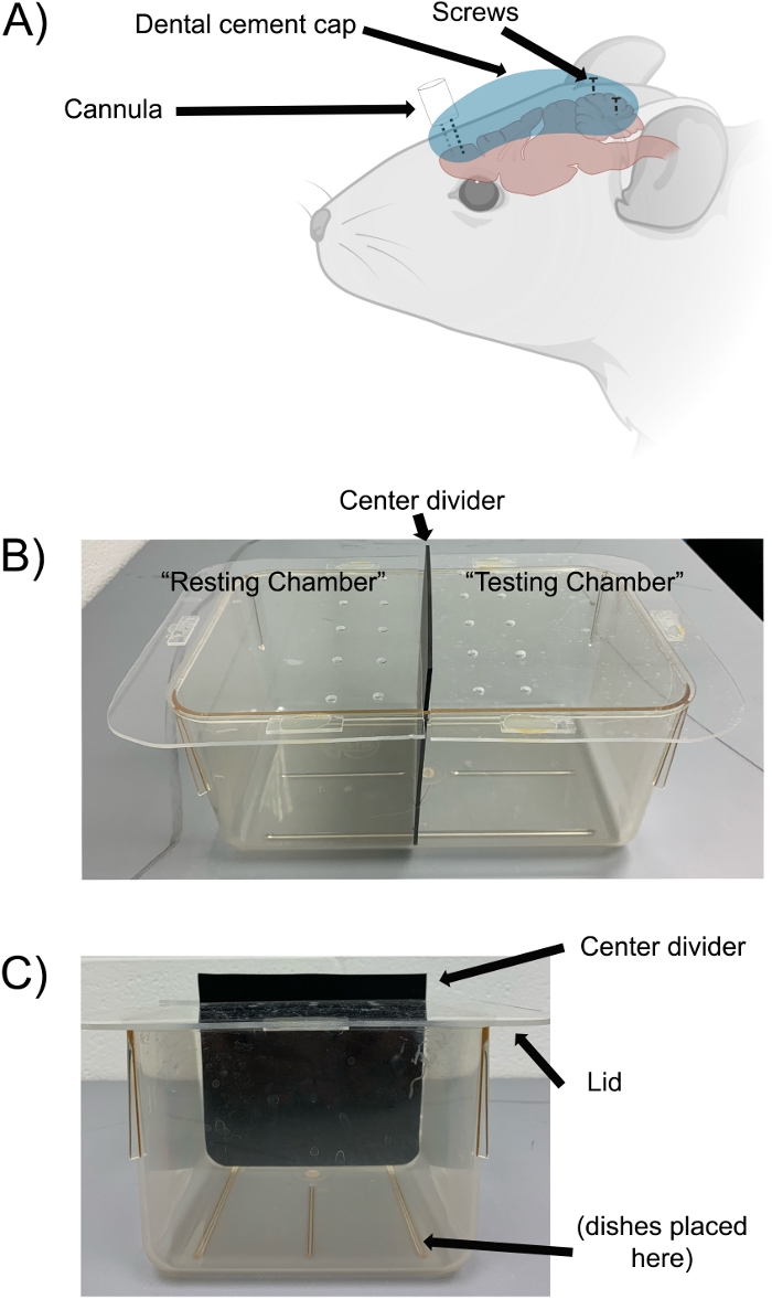 figure-results-1 Rodent cannula implant diagram; behavioral chamber setup with divider for testing and resting areas.