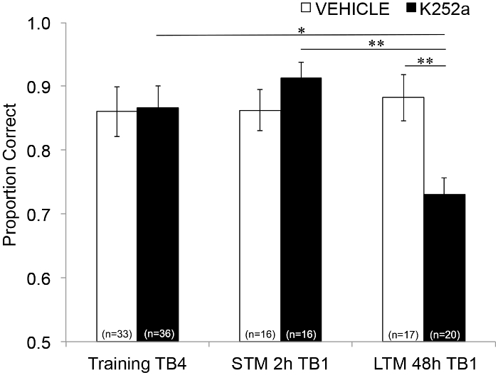 figure-results-3 Bar chart comparing proportion correct in memory tasks between VEHICLE and K252a groups.