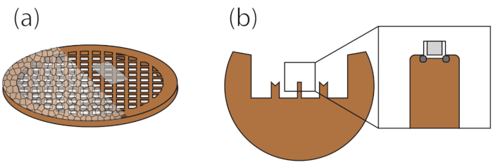 Sieve analysis diagram; mechanical sieving setup for particle size distribution measurement.