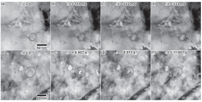 figure-results-4 Time-lapse microscopy, nanoscale changes; diagrams (50 nm, 20 nm); temporal analysis, particle observation.