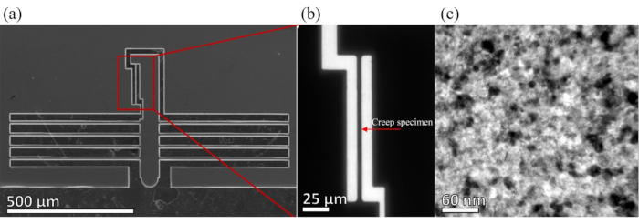 figure-results-5 Microstructure analysis; scanning electron microscopy; diagram of creep specimen; material study.