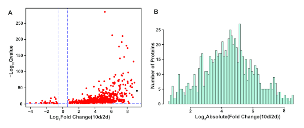 Volcano plot and histogram of protein expression; statistical data analysis in proteomics research.