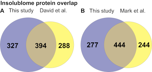 Venn diagram of insolublome protein overlap; study comparisons with David and Mark et al.