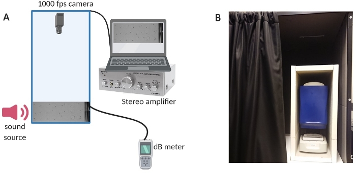 Acoustic experiment with sound source, 1000 fps camera, stereo amplifier, dB meter, vibration analysis.