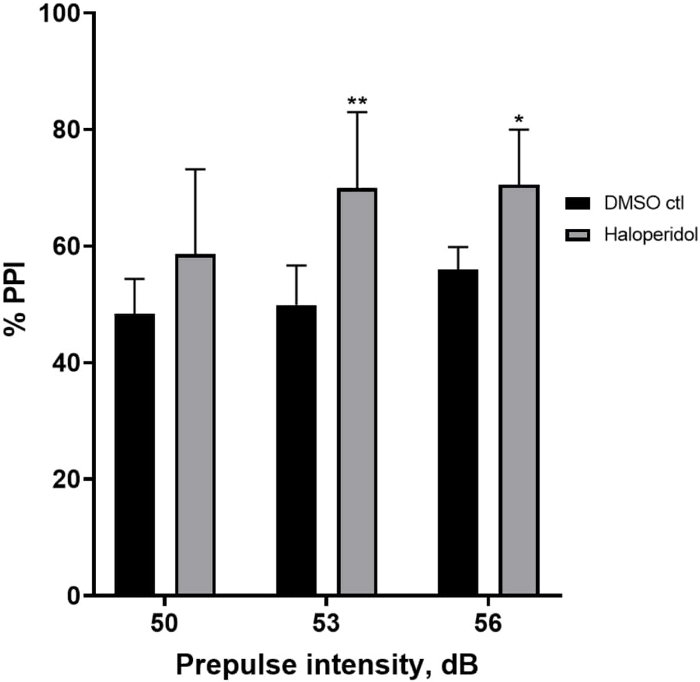 Prepulse inhibition bar graph; DMSO vs. Haloperidol, various dB; auditory response analysis.