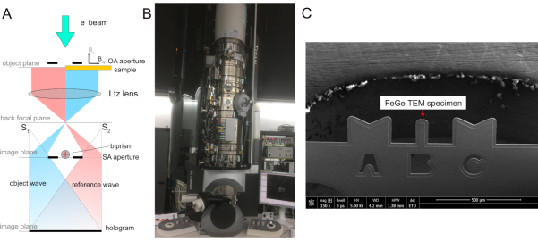 figure-results-2 Holography setup, TEM microscope, FeGe specimen; diagram, equipment, and image analysis.